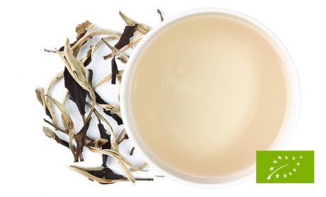 Pure Tea - Yunnan Moonlight First Grade Dongzhai  